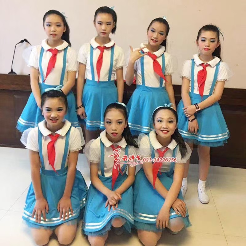 DZHC93Сѧϳװϵ