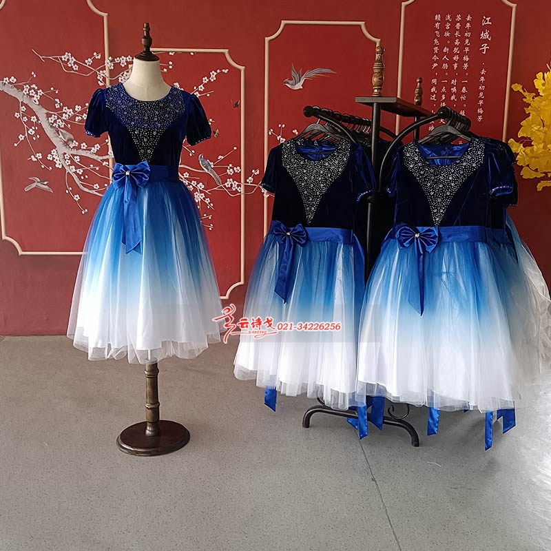 DZHC136Сѧϳװϵ