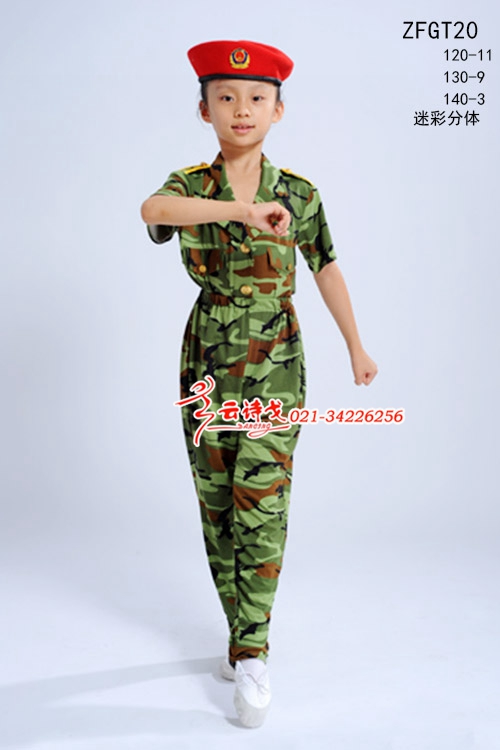 ݳװ赸װ¿ݳװZFGT20