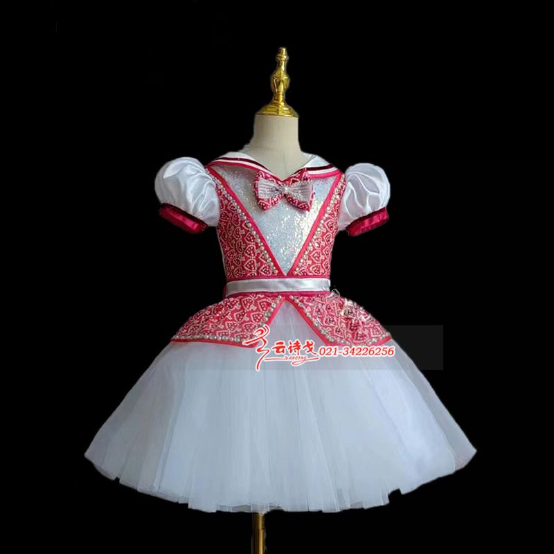 DZHC317Сѧϳװϵ