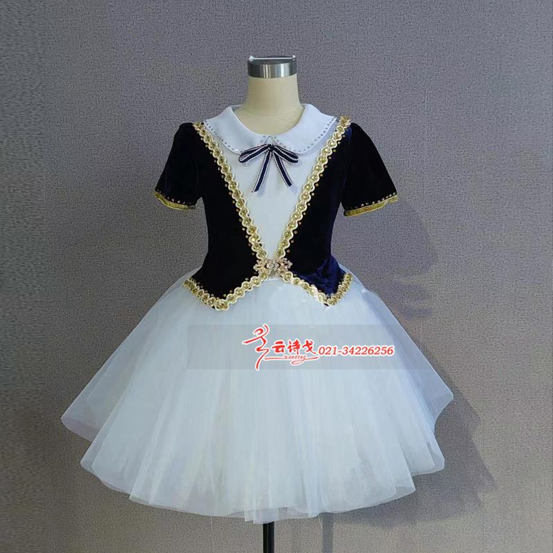 DZHC314Сѧϳװϵ