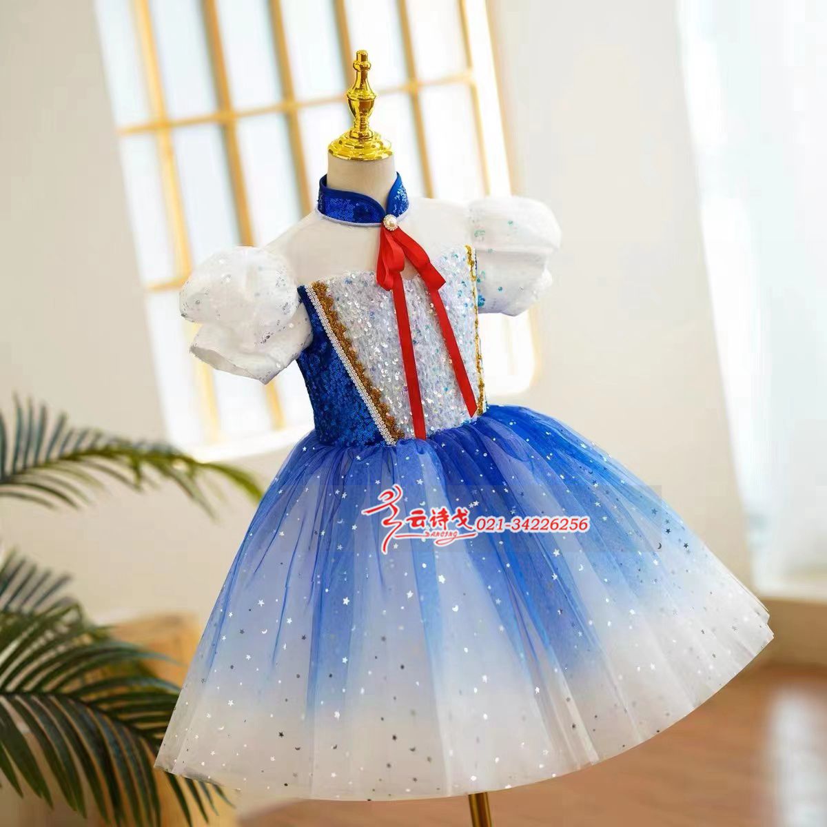 DZHC313Сѧϳװϵ