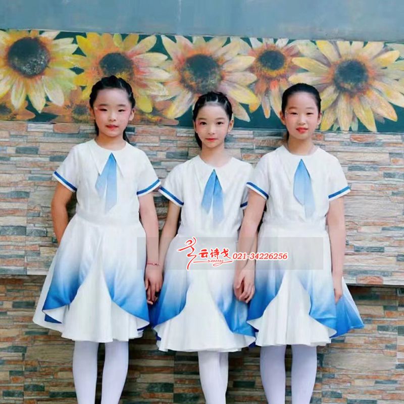 DZHC312Сѧϳװϵ