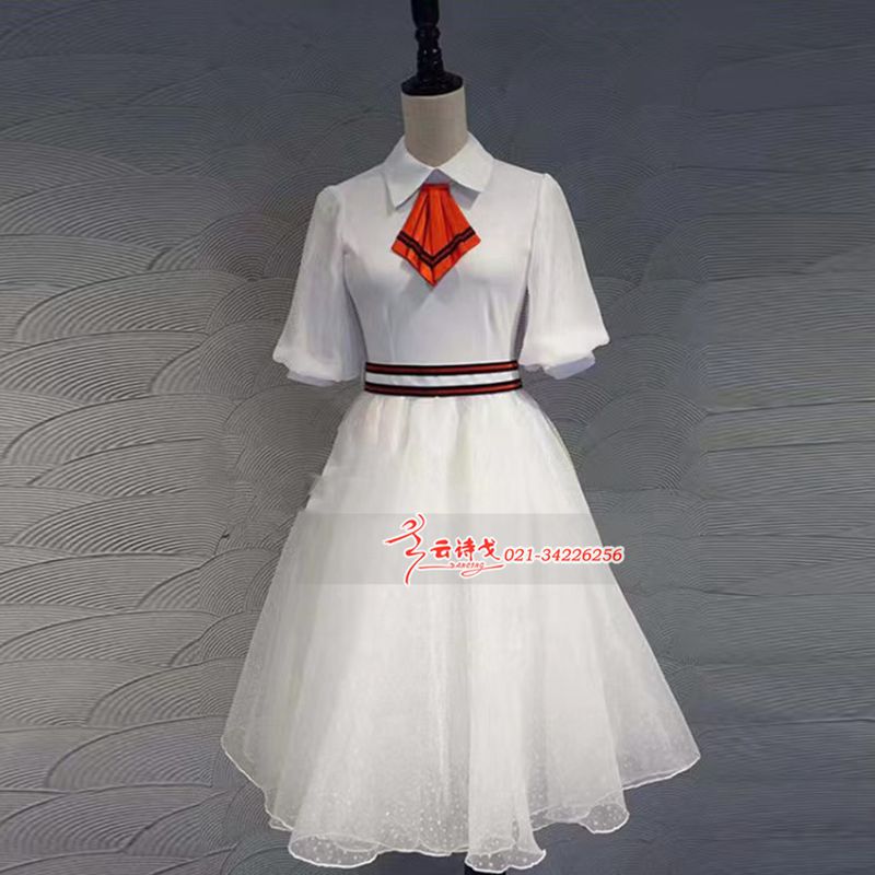 DZHC248Сѧϳװϵ