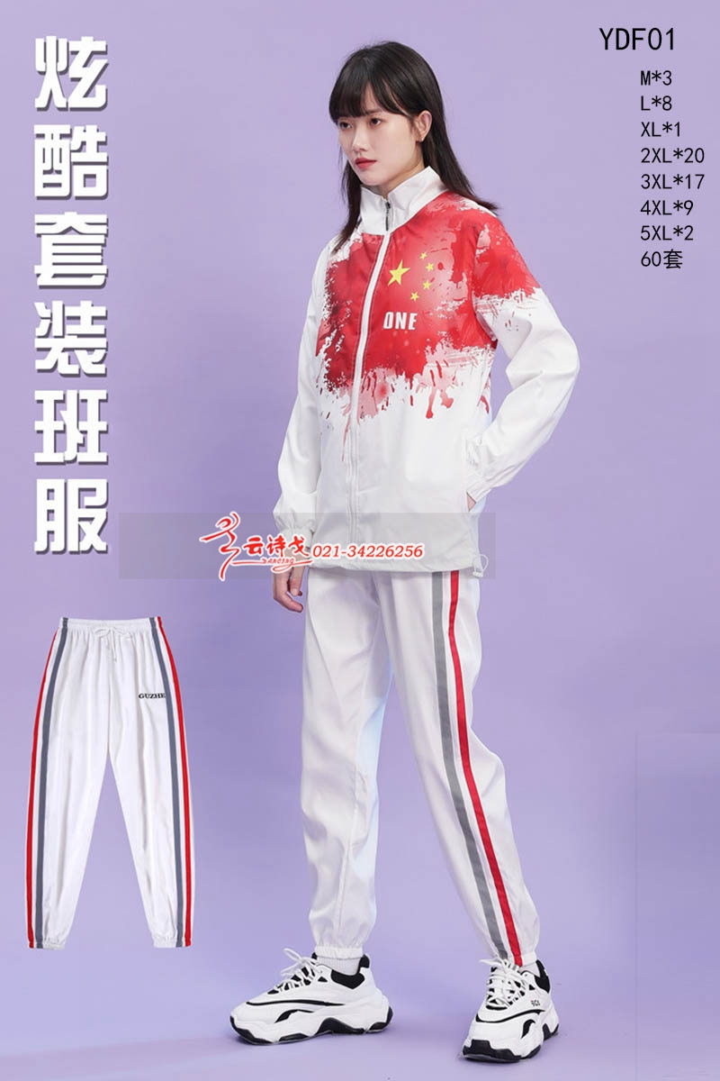 ִ赸װ˶У԰YDF01